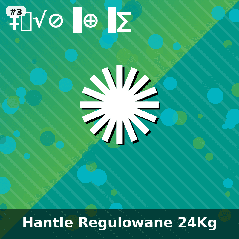Hantle Regulowane PowerLift 24kg - 3