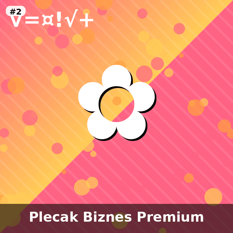 Plecak Biznesowy Premium - 2