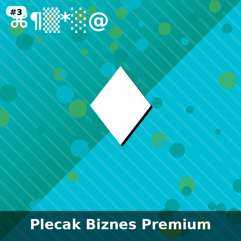 Plecak Biznesowy Premium - 3